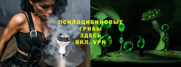 apvp Лиски
