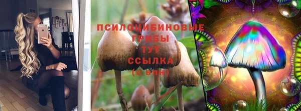apvp Лиски
