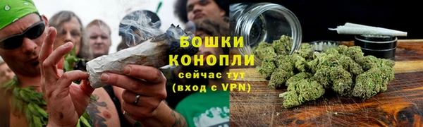 apvp Лиски