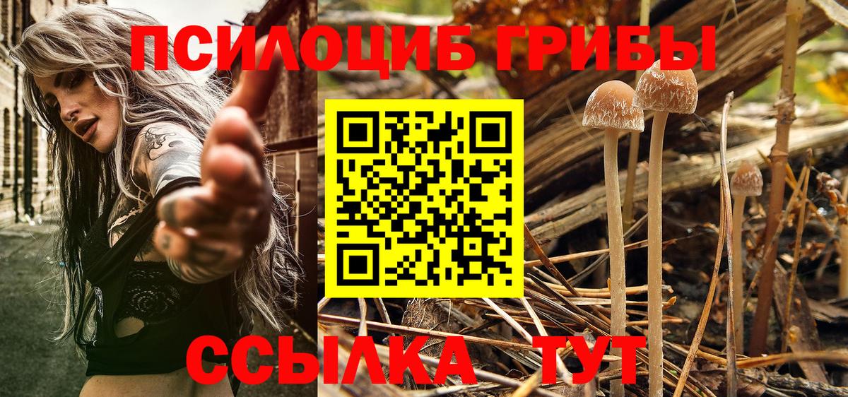 Галлюциногенные грибы Cubensis Янаул