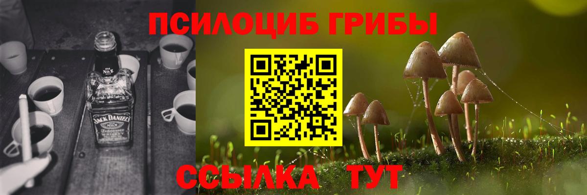 Галлюциногенные грибы Psilocybine cubensis  Псилоцибиновые грибы Magic Shrooms  Вход с VPN  Янаул 